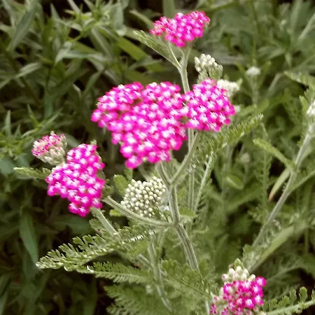 La Casa Di Paola San Gemini