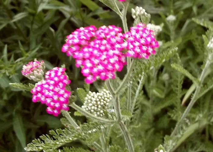 La Casa Di Paola San Gemini