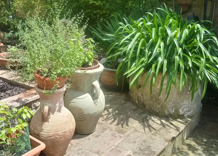 La Casa Di Paola Privat bolig San Gemini